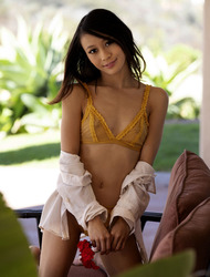 Cozy Cushion
