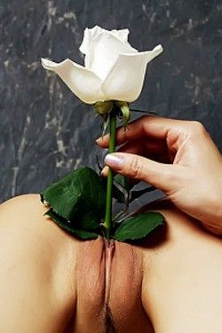 Best Place to Grow Flowers